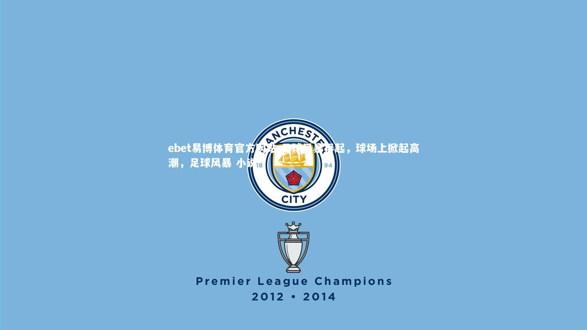 足球风暴再起，球场上掀起高潮，足球风暴 小说