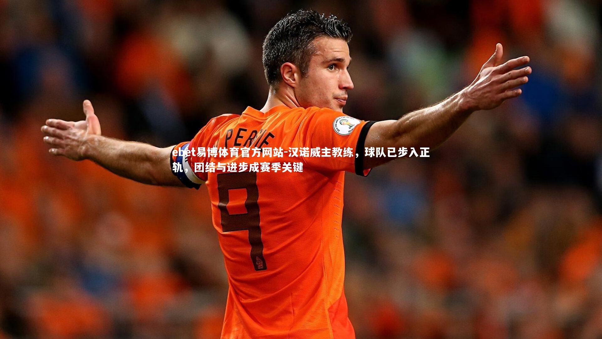 汉诺威主教练，球队已步入正轨，团结与进步成赛季关键
